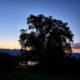 23/08/2026 par Isabelle Meister