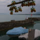 Les citrons volants sur l&rsquo;eau (photojournala__e 2697) par Anne Wyrsch