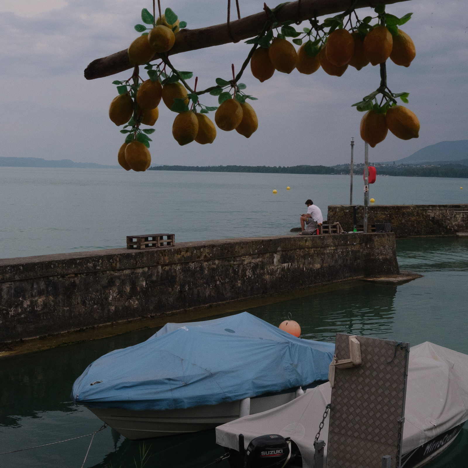 Les citrons volants sur l&rsquo;eau (photojournala__e 2697) par Anne Wyrsch