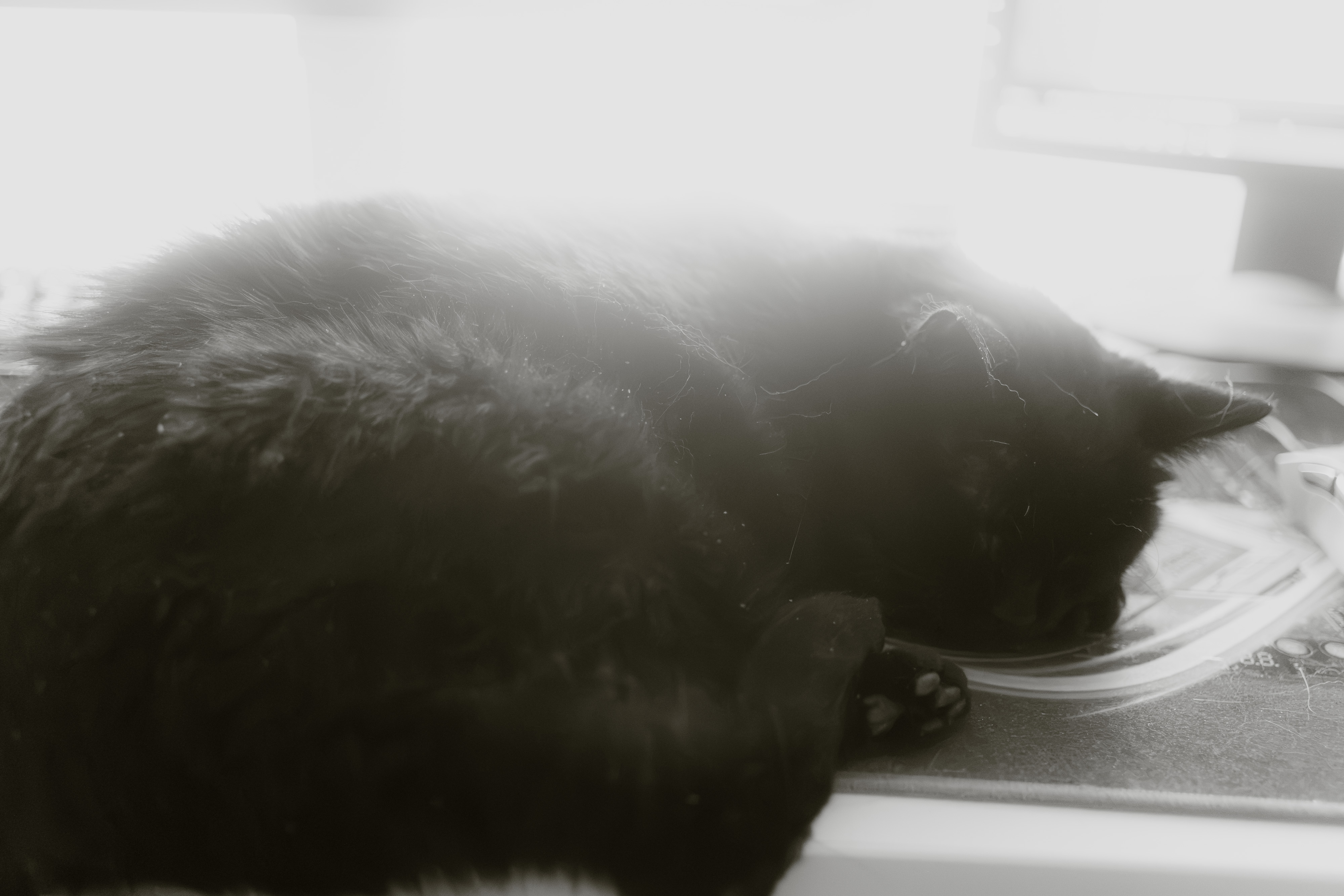  par Gabriel Asper