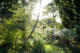 Un peu de rose dans le paysage. par Francis Traunig