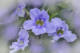 15/09/2026 par Shlomith Bollag