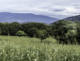 16/09/2026 par Shlomith Bollag