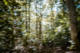 14/09/2026 par Nicolas Spuhler