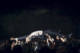 10/09/2026 par Nicolas Spuhler