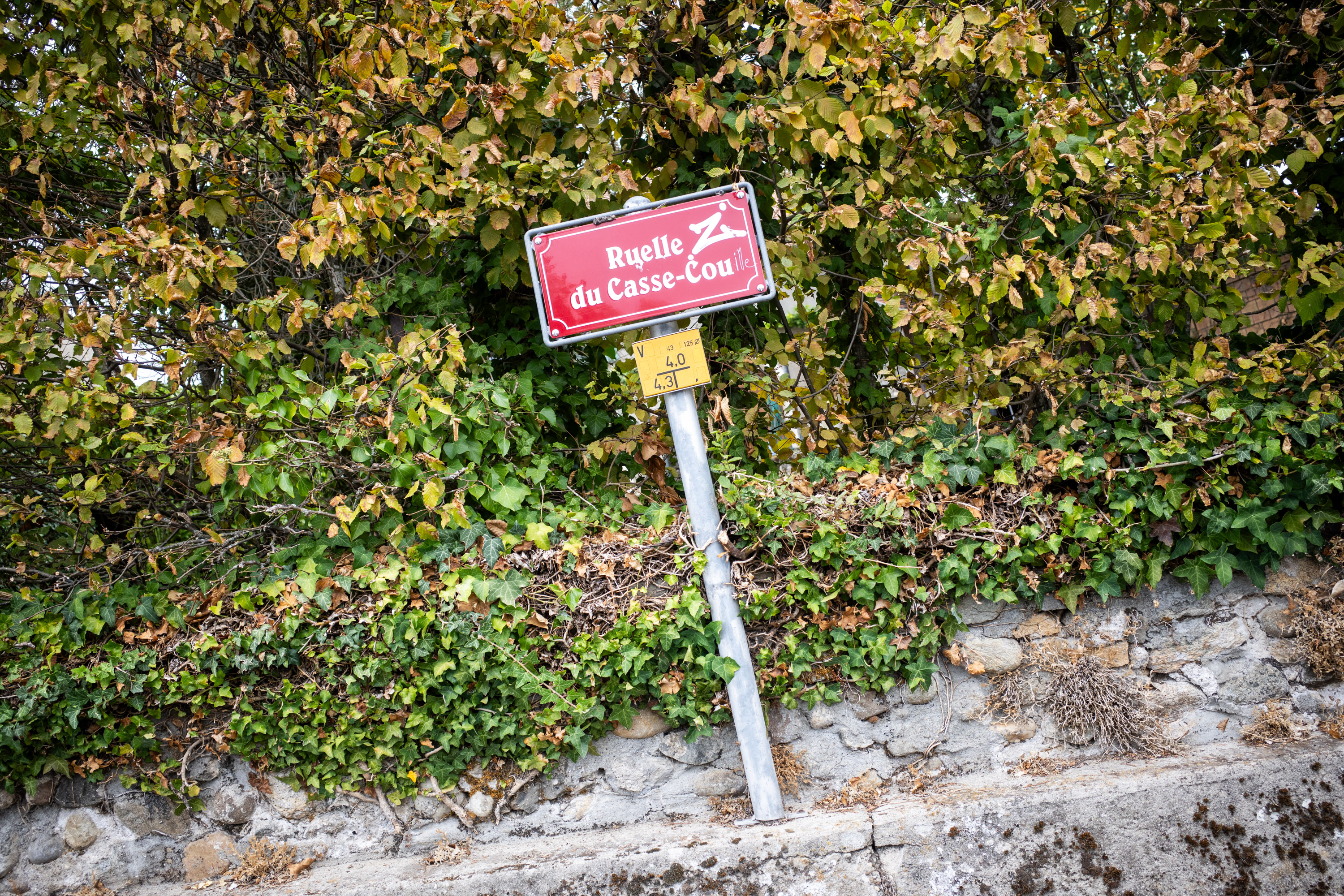 en plus c&rsquo;est vrai… par Francis Traunig