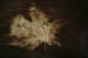 envol par Nicolas Spuhler