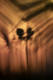 28/10/2026 par Nicolas Spuhler