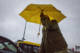 » Oh yes, it&rsquo;s raining again «  par Pascal Kempenar