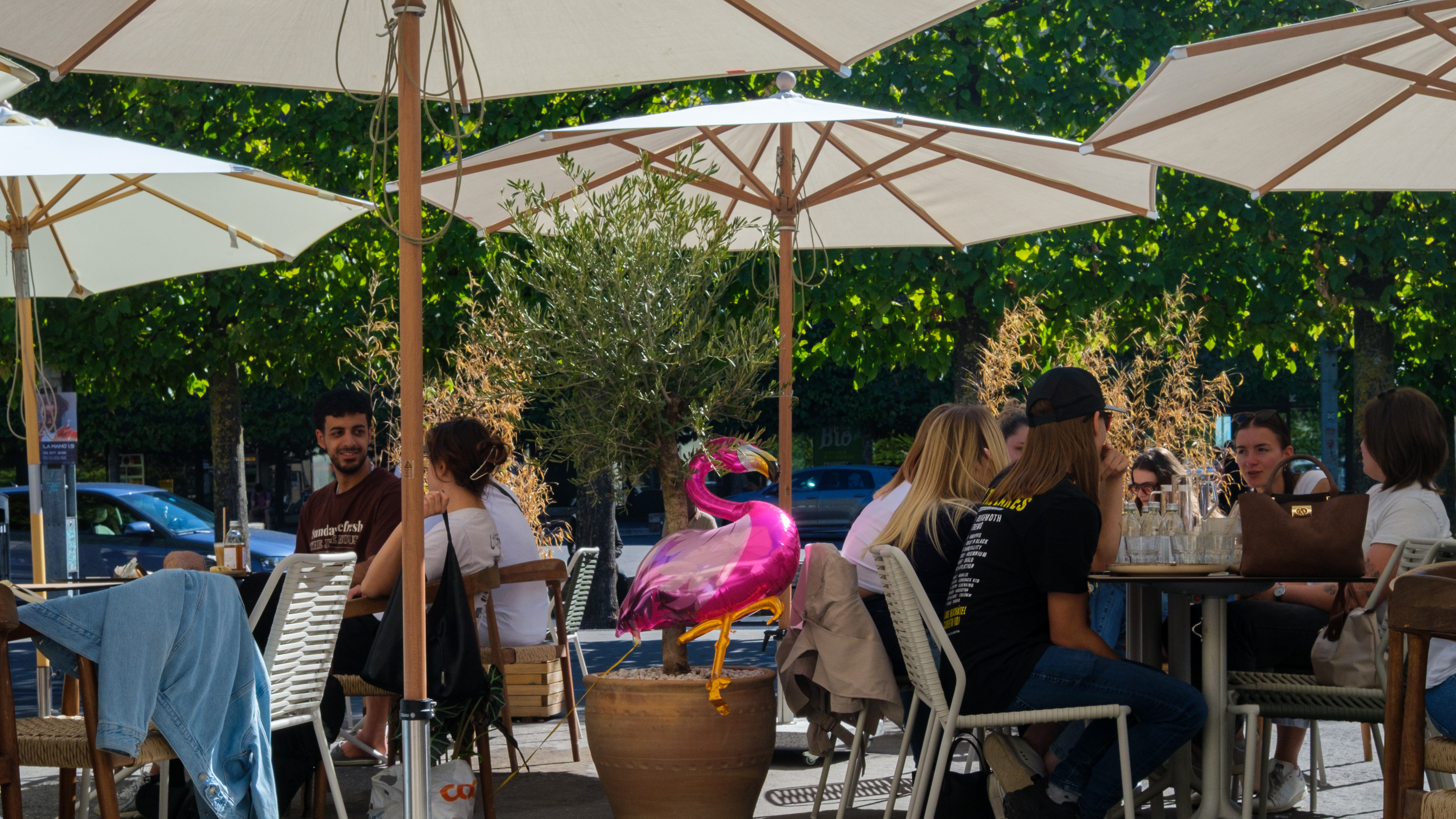 Flamingos en terrasse (photojournala__e 2755) par Anne Wyrsch