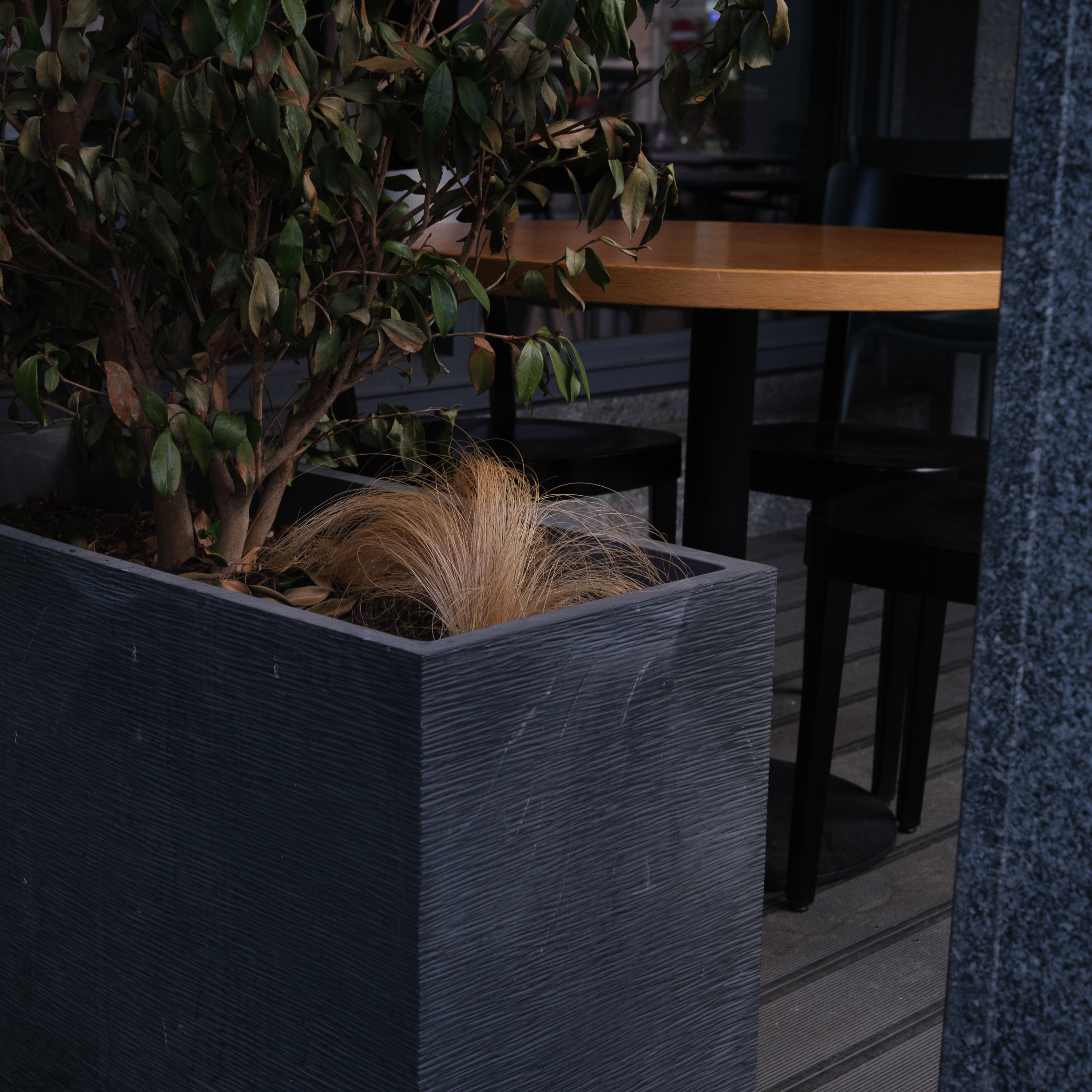 Et il fut.. (photojournala__e 2757) par Anne Wyrsch